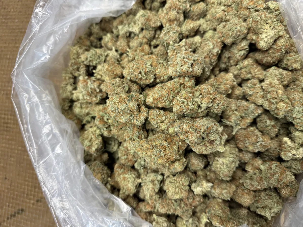Super Silver Haze Flower
